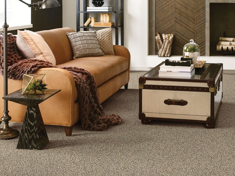 leather couch on carpet with trunk coffee table - Carpet Plus Flooring LLC